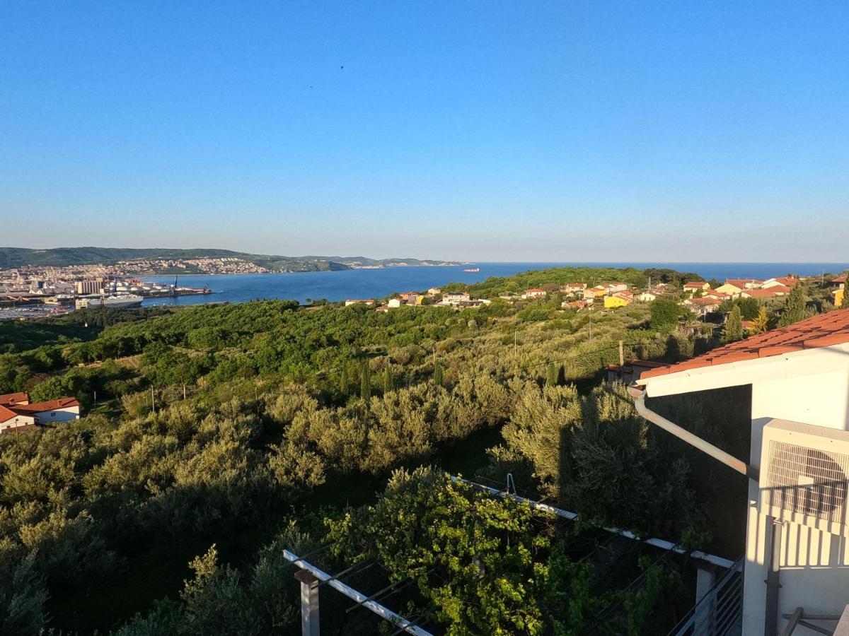 Appartamento House Among Olive Trees With A Sea View 1 Ancarano Esterno foto