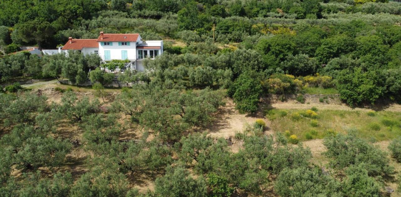 Appartamento House Among Olive Trees With A Sea View 1 Ancarano Esterno foto