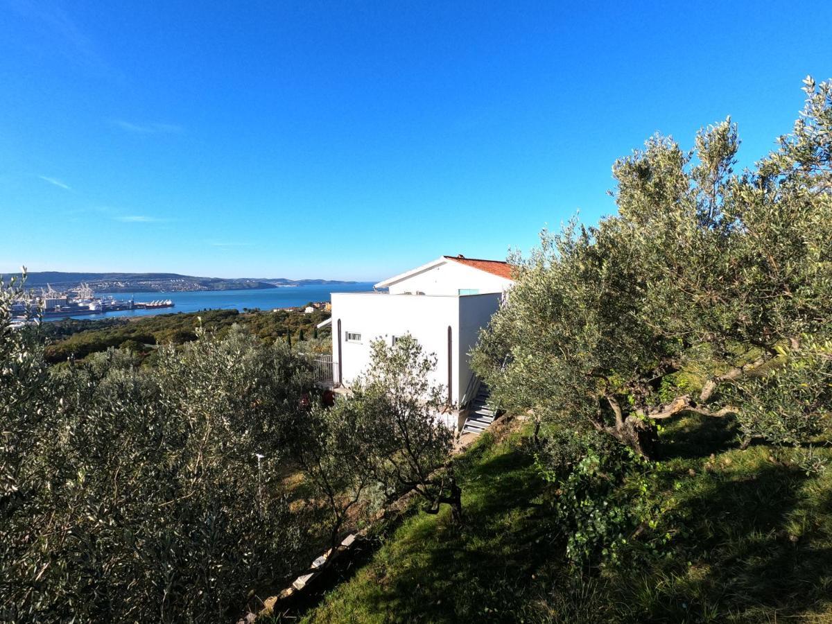 Appartamento House Among Olive Trees With A Sea View 1 Ancarano Esterno foto